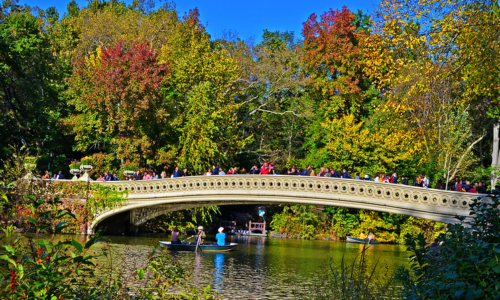 cc-licensed image "Beautiful Bow Bridge and the Lake - Central Park Manhattan" from flicker user incognitonyc